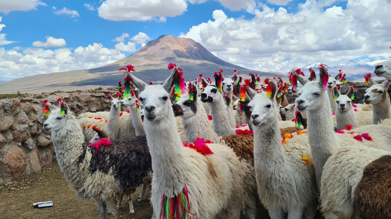 Alianza Mundial Aymara aporta mirada intercultural al fortalecimiento del turismo municipal en Chile