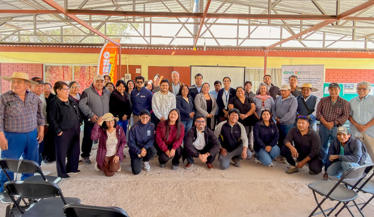 INIA Ururi y GORE lanzan proyecto para potenciar la alfalfa ancestral Alta Sierra en el Norte de Chile
